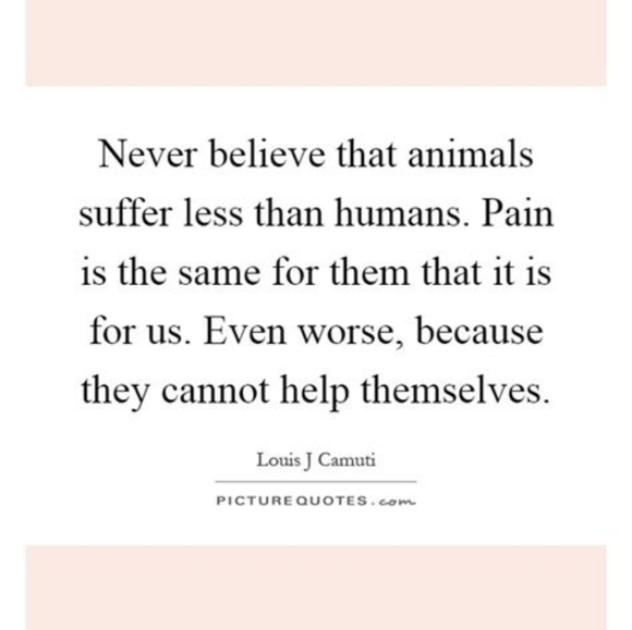 Welcome to my closet!! 😁🤗 - Picture 10 of 12